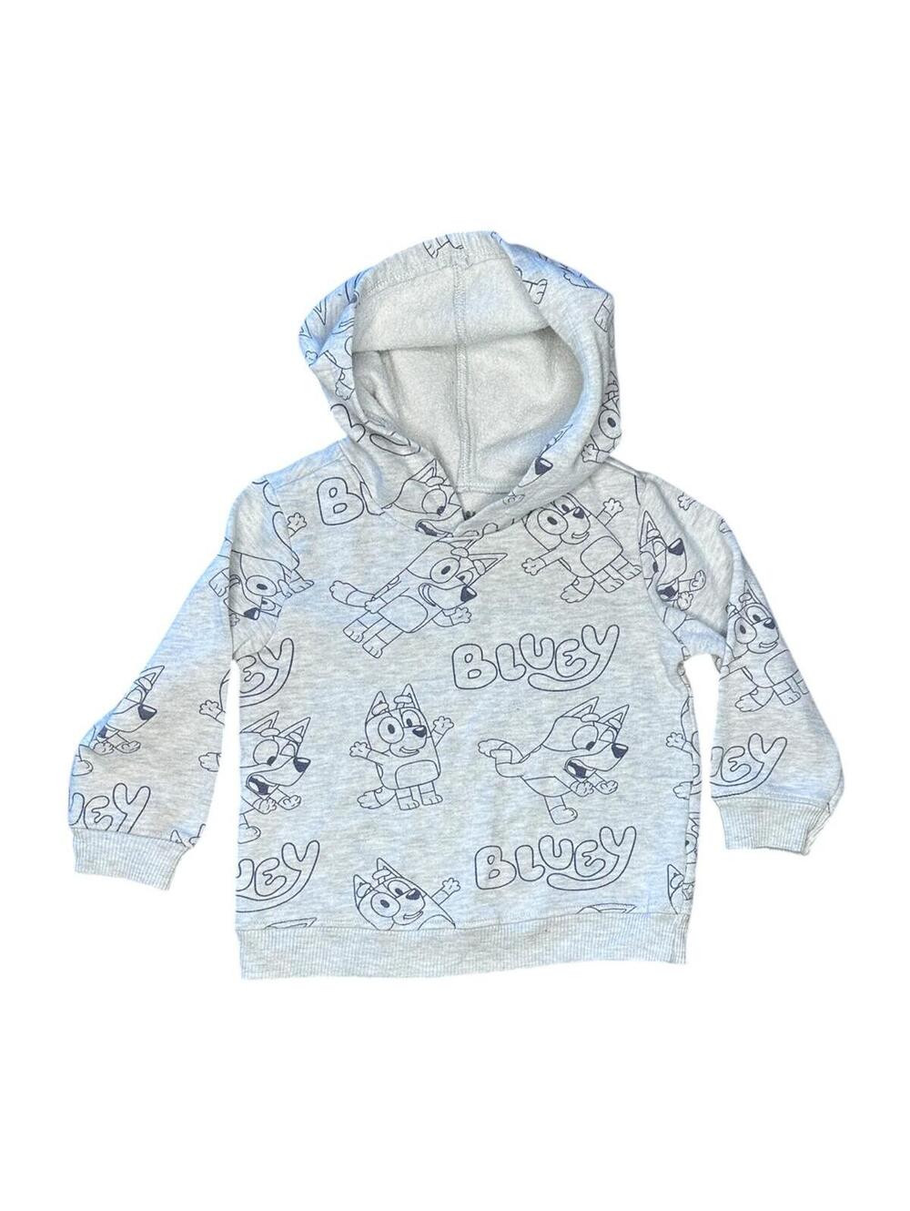 Bluey Toddler 3T Pullover Hoodie Sweatshirt Grey Light Blue Character Print